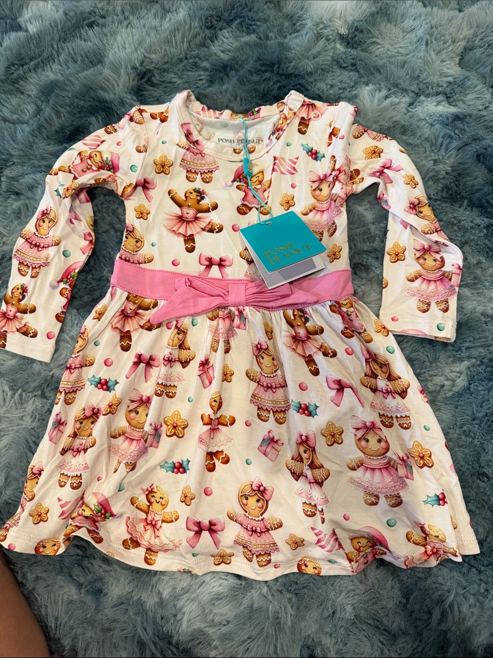 Posh Peanut Pink Gingerbread Ballet Print Dress